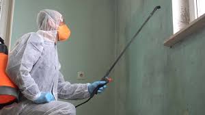  South Point, OH Mold Removal Pros